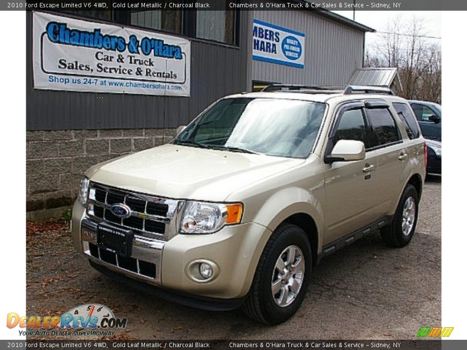 2010 Ford Escape Limited V6 4WD Gold Leaf Metallic / Charcoal Black Photo #1