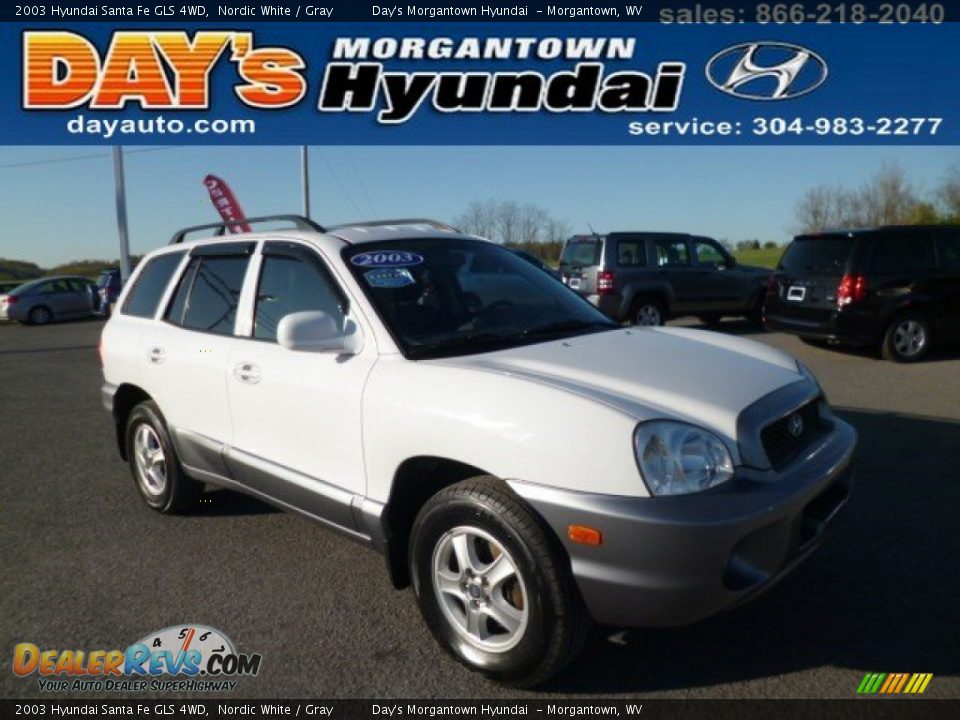 2003 Hyundai Santa Fe GLS 4WD Nordic White / Gray Photo #1