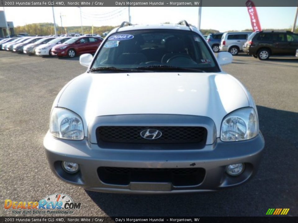 2003 Hyundai Santa Fe GLS 4WD Nordic White / Gray Photo #2