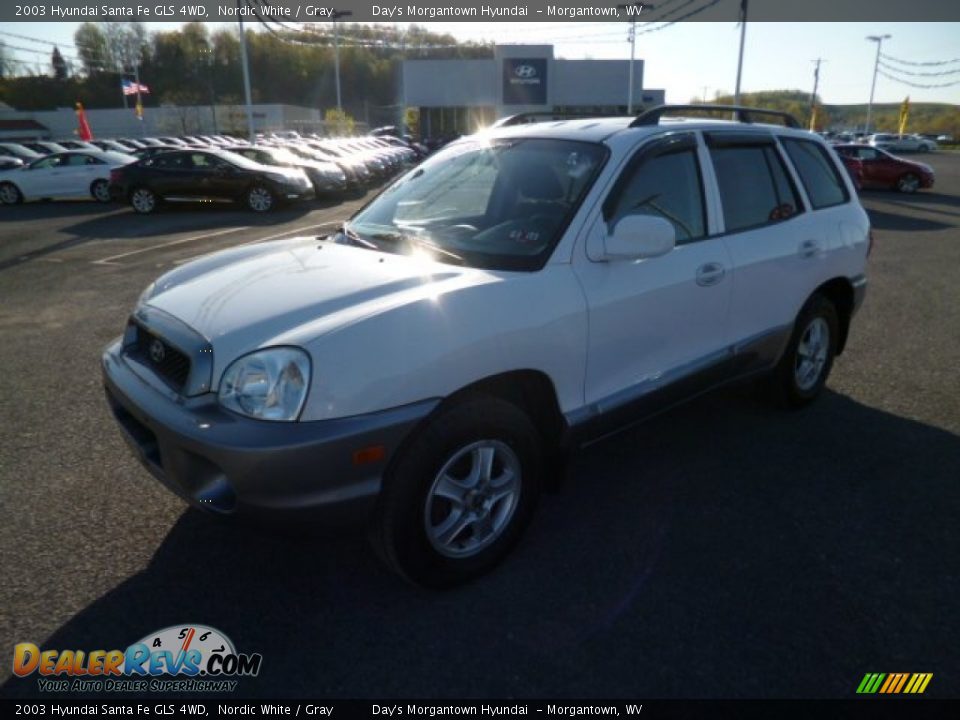2003 Hyundai Santa Fe GLS 4WD Nordic White / Gray Photo #3