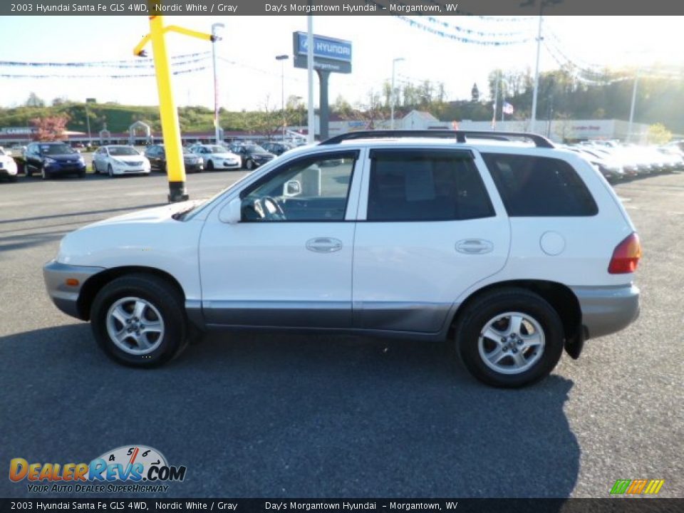 2003 Hyundai Santa Fe GLS 4WD Nordic White / Gray Photo #4
