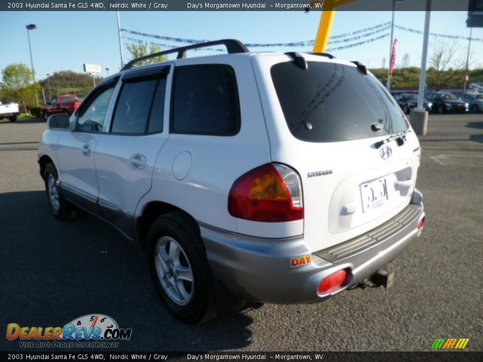 2003 Hyundai Santa Fe GLS 4WD Nordic White / Gray Photo #5