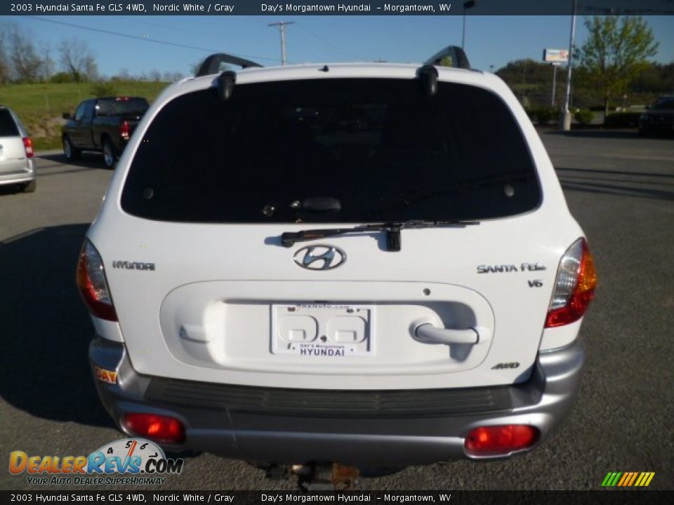 2003 Hyundai Santa Fe GLS 4WD Nordic White / Gray Photo #6