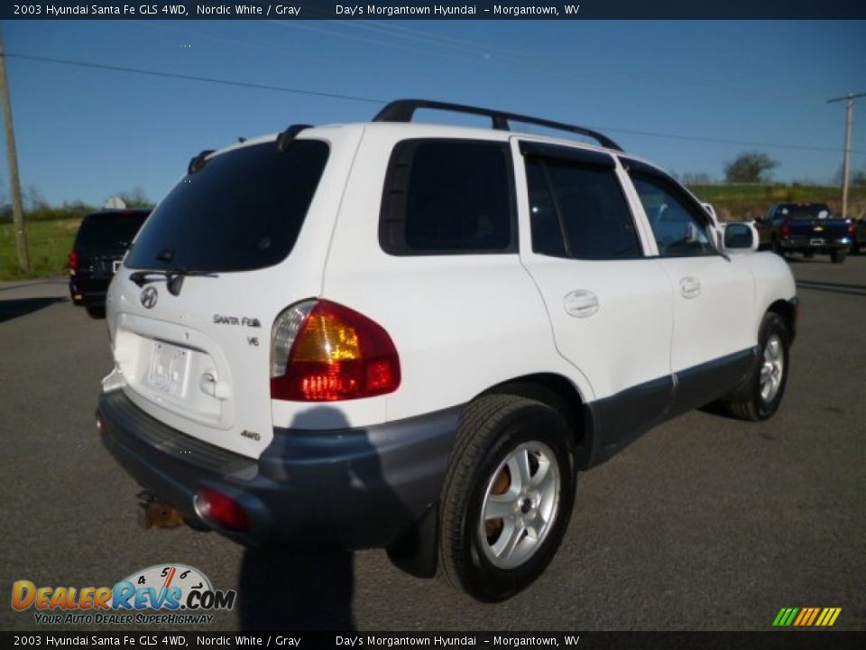 2003 Hyundai Santa Fe GLS 4WD Nordic White / Gray Photo #7