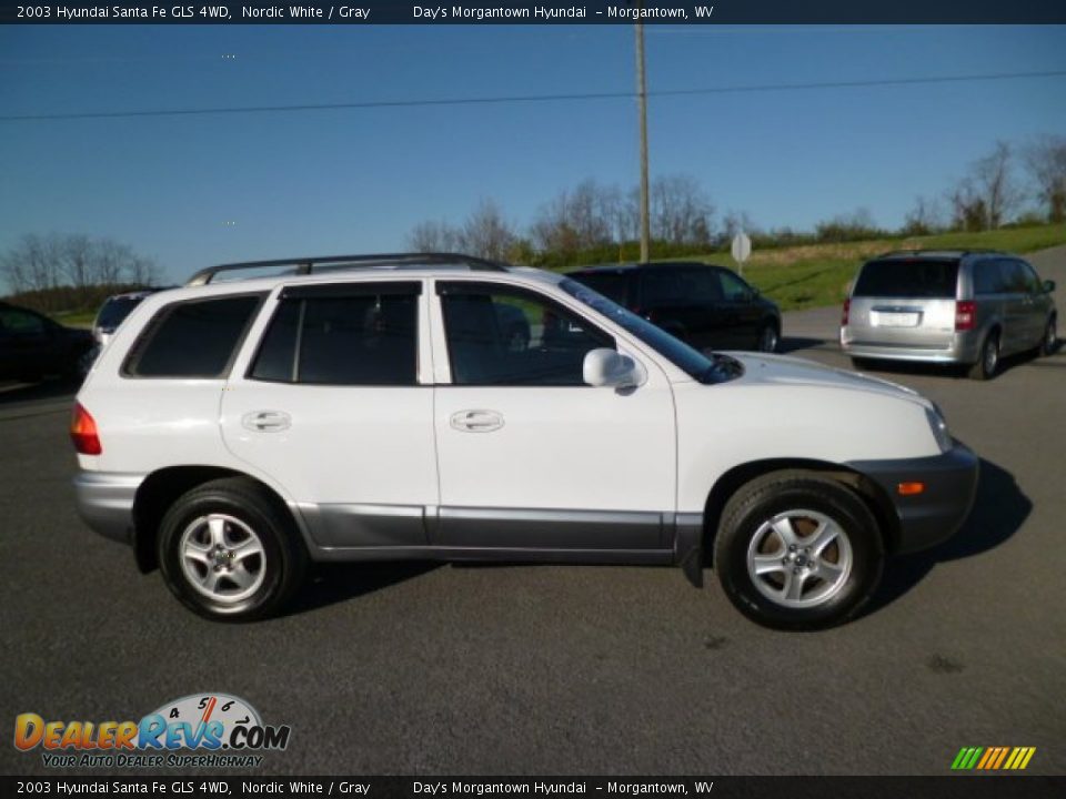 2003 Hyundai Santa Fe GLS 4WD Nordic White / Gray Photo #8