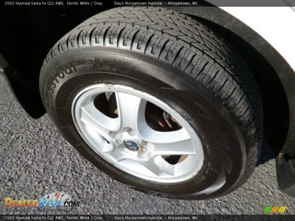 2003 Hyundai Santa Fe GLS 4WD Nordic White / Gray Photo #9