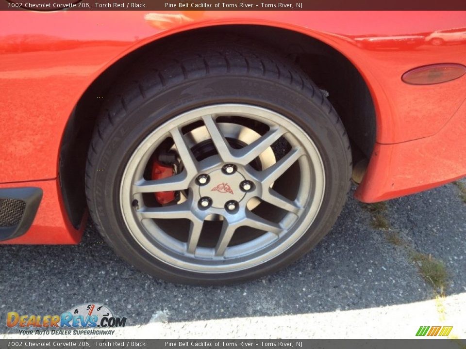 2002 Chevrolet Corvette Z06 Torch Red / Black Photo #4