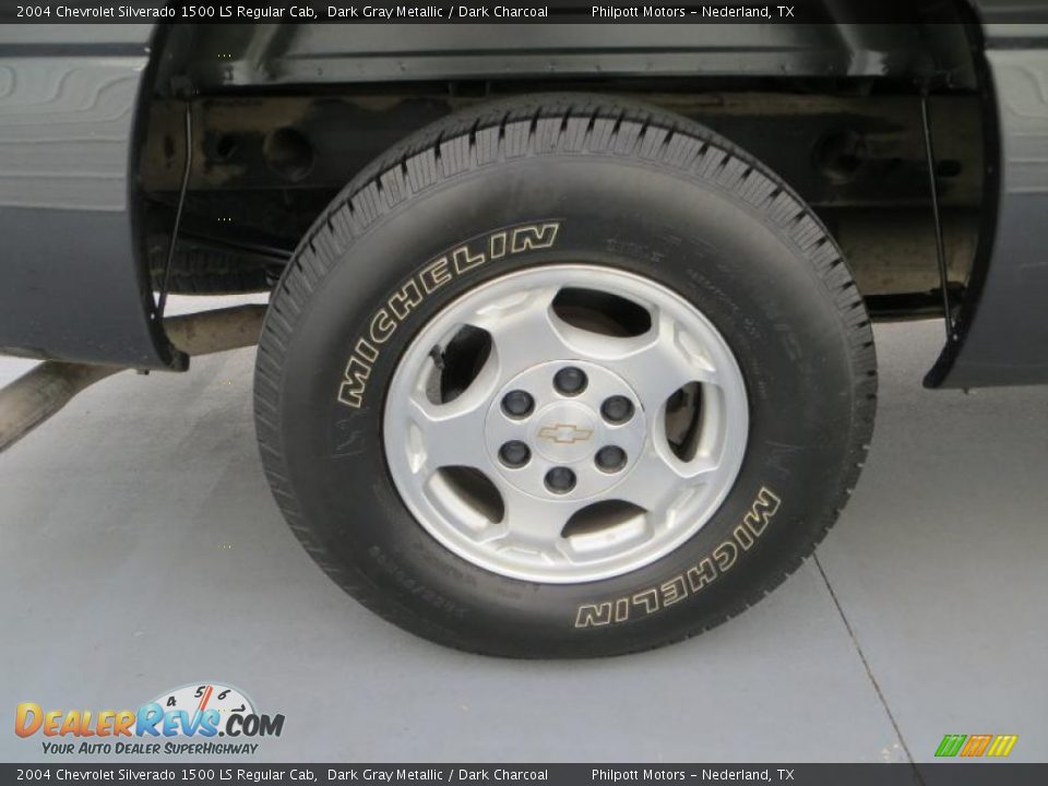2004 Chevrolet Silverado 1500 LS Regular Cab Dark Gray Metallic / Dark Charcoal Photo #13