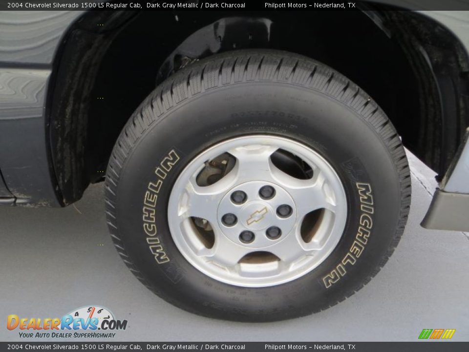 2004 Chevrolet Silverado 1500 LS Regular Cab Dark Gray Metallic / Dark Charcoal Photo #14