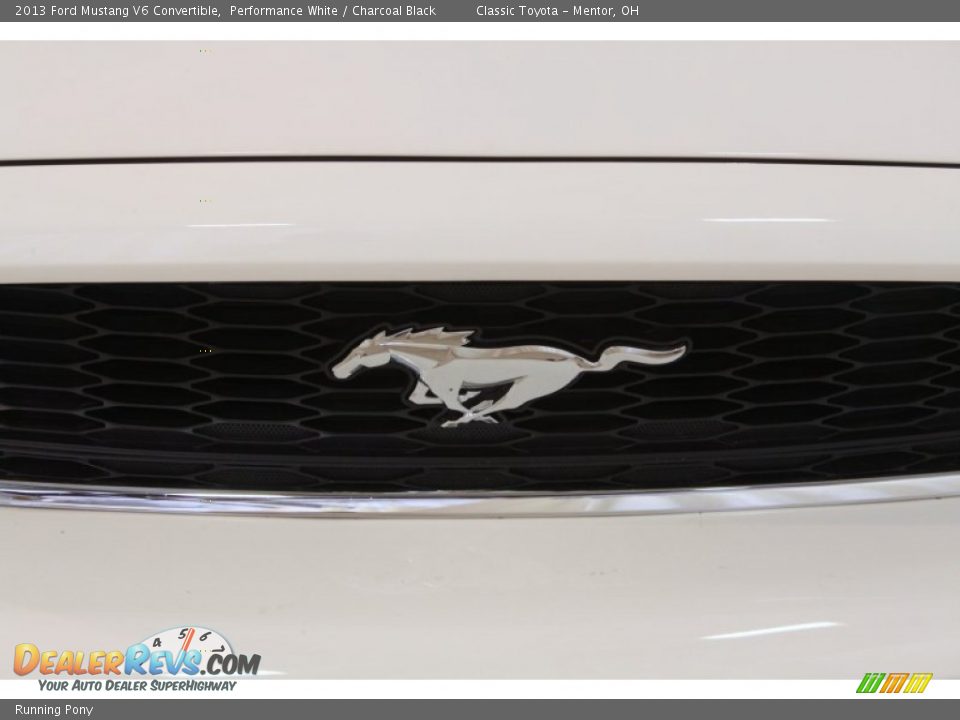 Running Pony - 2013 Ford Mustang