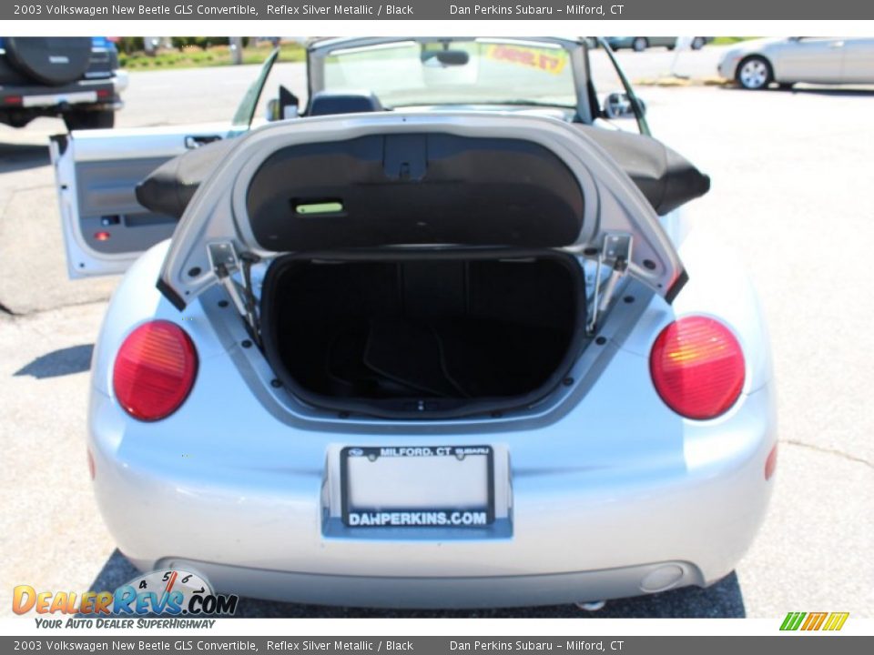 2003 Volkswagen New Beetle GLS Convertible Reflex Silver Metallic / Black Photo #8