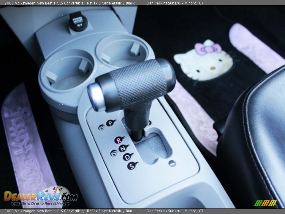 2003 Volkswagen New Beetle GLS Convertible Reflex Silver Metallic / Black Photo #14