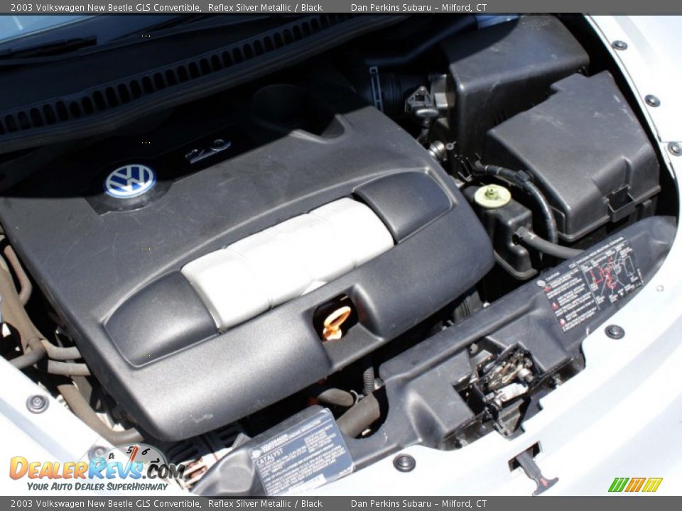 2003 Volkswagen New Beetle GLS Convertible Reflex Silver Metallic / Black Photo #23