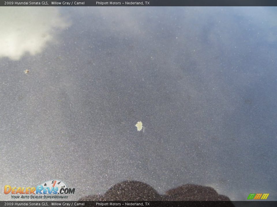 2009 Hyundai Sonata GLS Willow Gray / Camel Photo #22