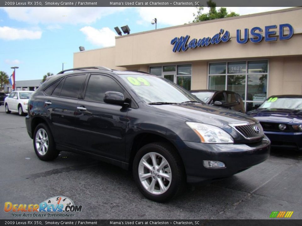 2009 Lexus RX 350 Smokey Granite / Parchment Photo #2