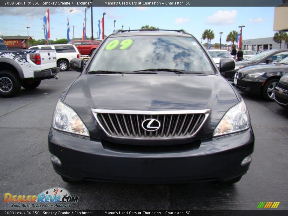 2009 Lexus RX 350 Smokey Granite / Parchment Photo #3