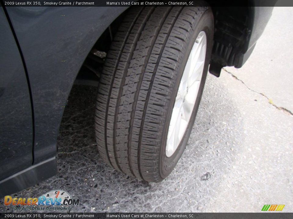 2009 Lexus RX 350 Smokey Granite / Parchment Photo #25
