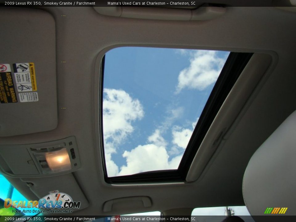 2009 Lexus RX 350 Smokey Granite / Parchment Photo #30
