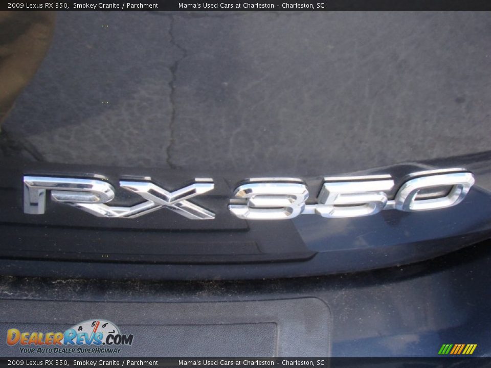2009 Lexus RX 350 Smokey Granite / Parchment Photo #33