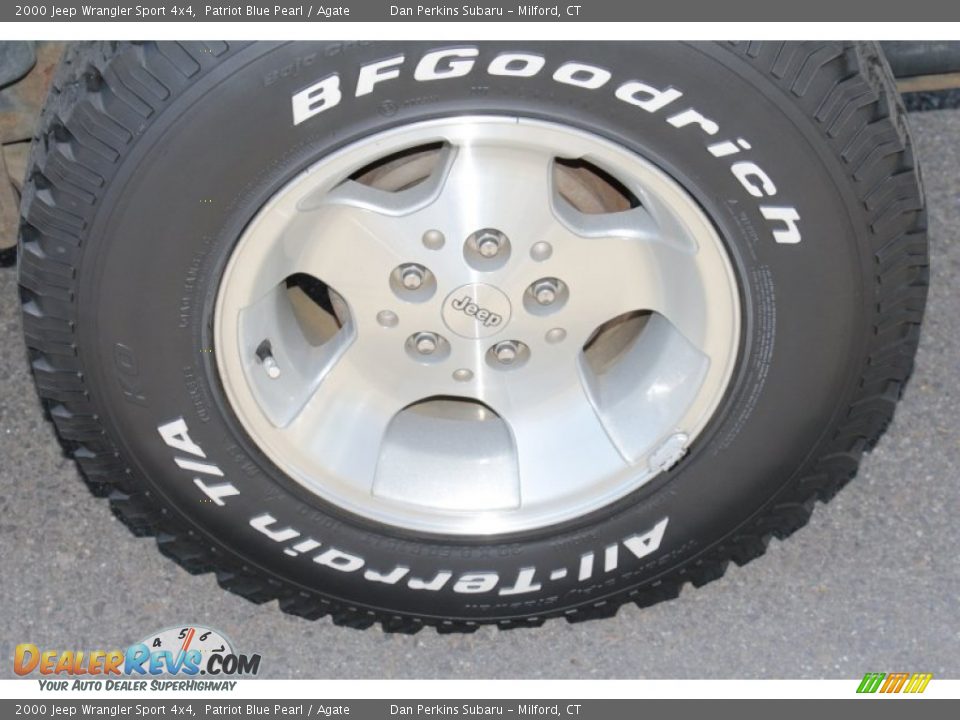 2000 Jeep Wrangler Sport 4x4 Patriot Blue Pearl / Agate Photo #18