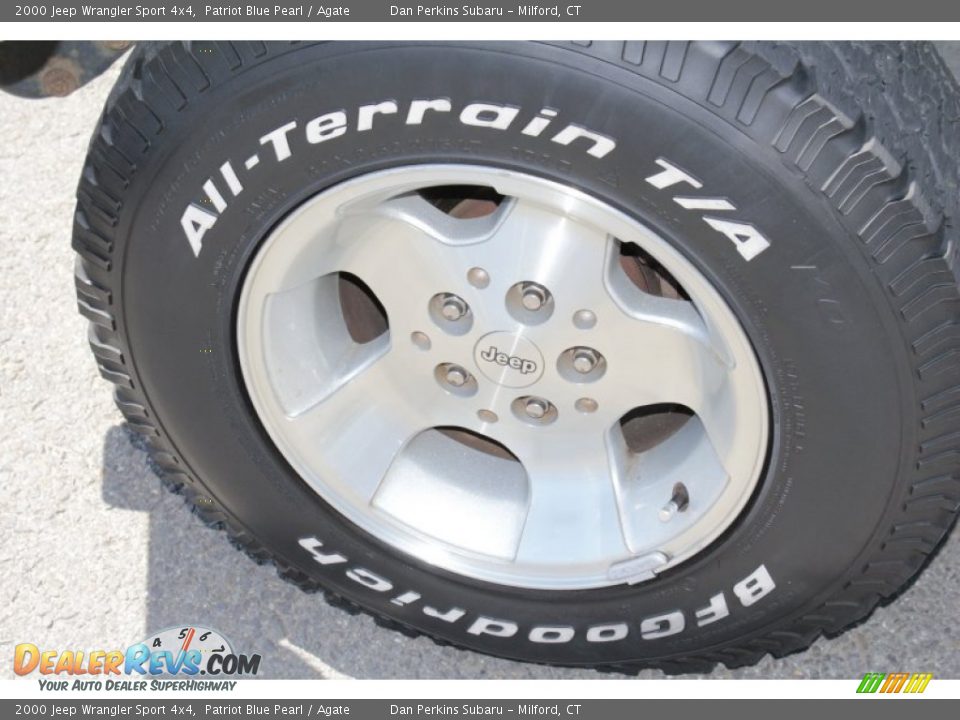 2000 Jeep Wrangler Sport 4x4 Patriot Blue Pearl / Agate Photo #19