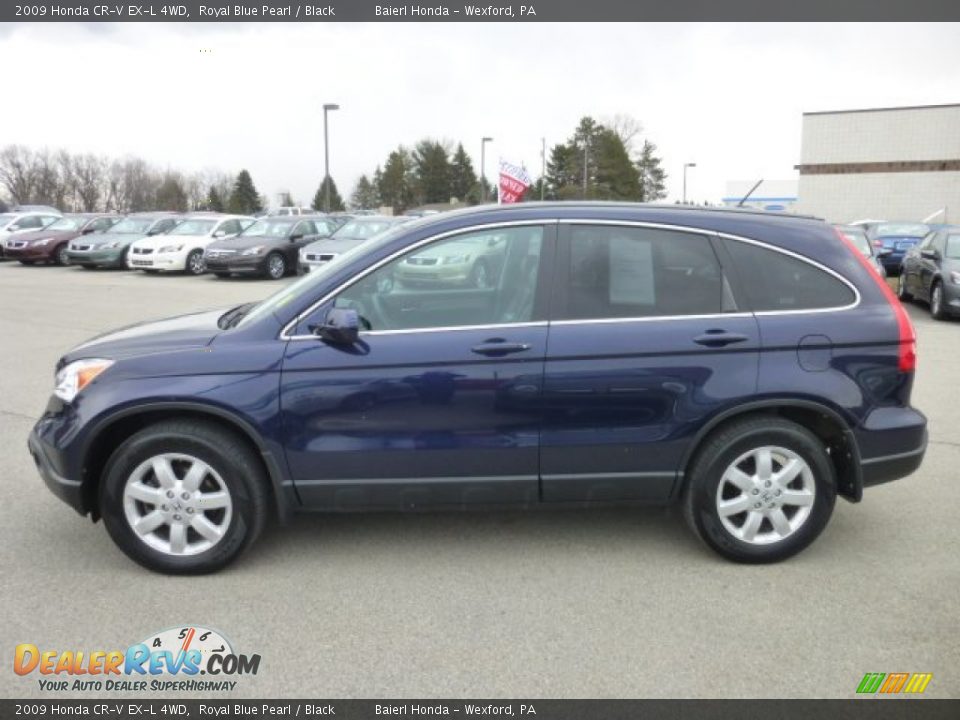 Royal Blue Pearl 2009 Honda CR-V EX-L 4WD Photo #4