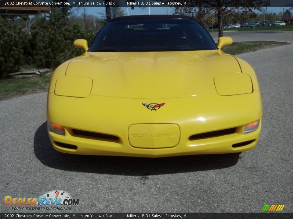 2002 Chevrolet Corvette Convertible Millenium Yellow / Black Photo #10