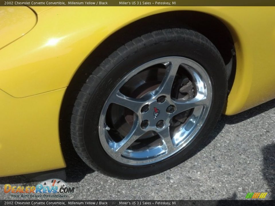 2002 Chevrolet Corvette Convertible Wheel Photo #11
