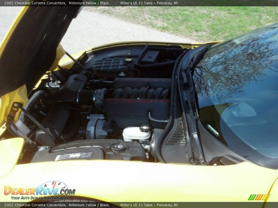 2002 Chevrolet Corvette Convertible Millenium Yellow / Black Photo #12