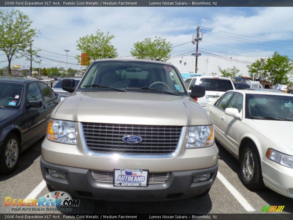 2006 Ford Expedition XLT 4x4 Pueblo Gold Metallic / Medium Parchment Photo #2