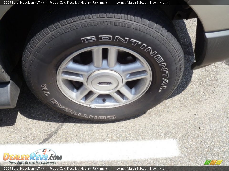 2006 Ford Expedition XLT 4x4 Pueblo Gold Metallic / Medium Parchment Photo #8