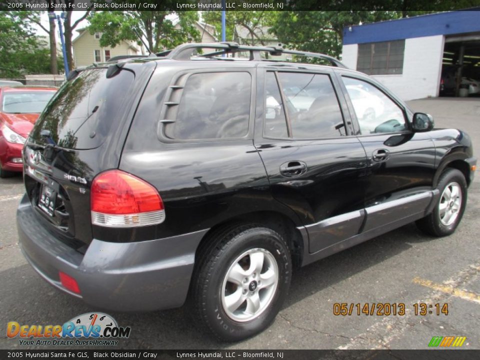 2005 Hyundai Santa Fe GLS Black Obsidian / Gray Photo #6