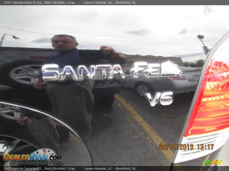 2005 Hyundai Santa Fe GLS Black Obsidian / Gray Photo #14