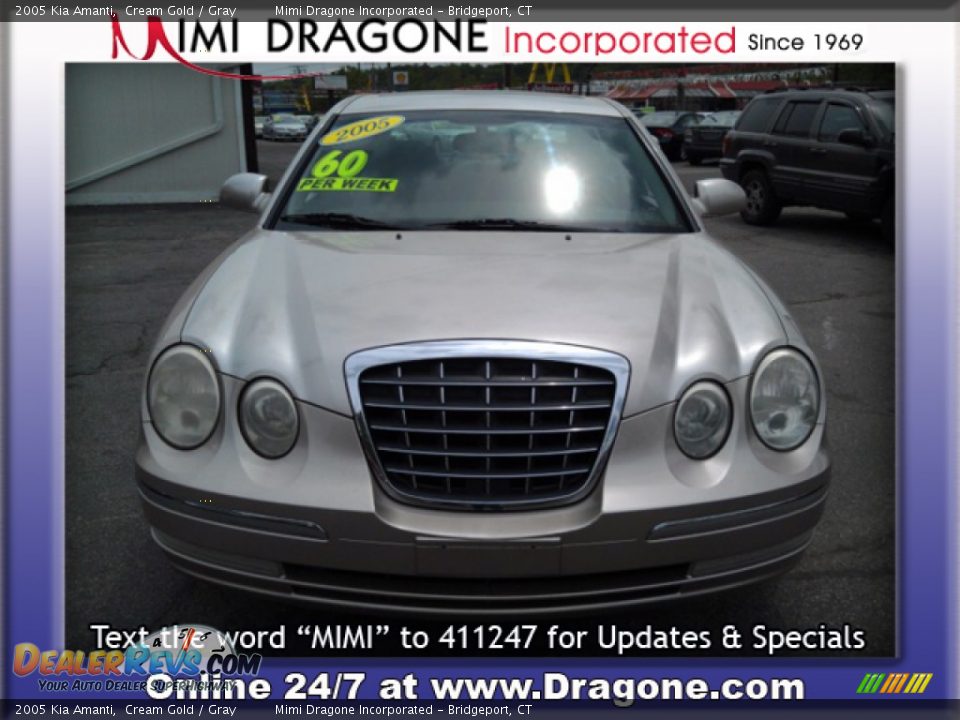 2005 Kia Amanti Cream Gold / Gray Photo #2