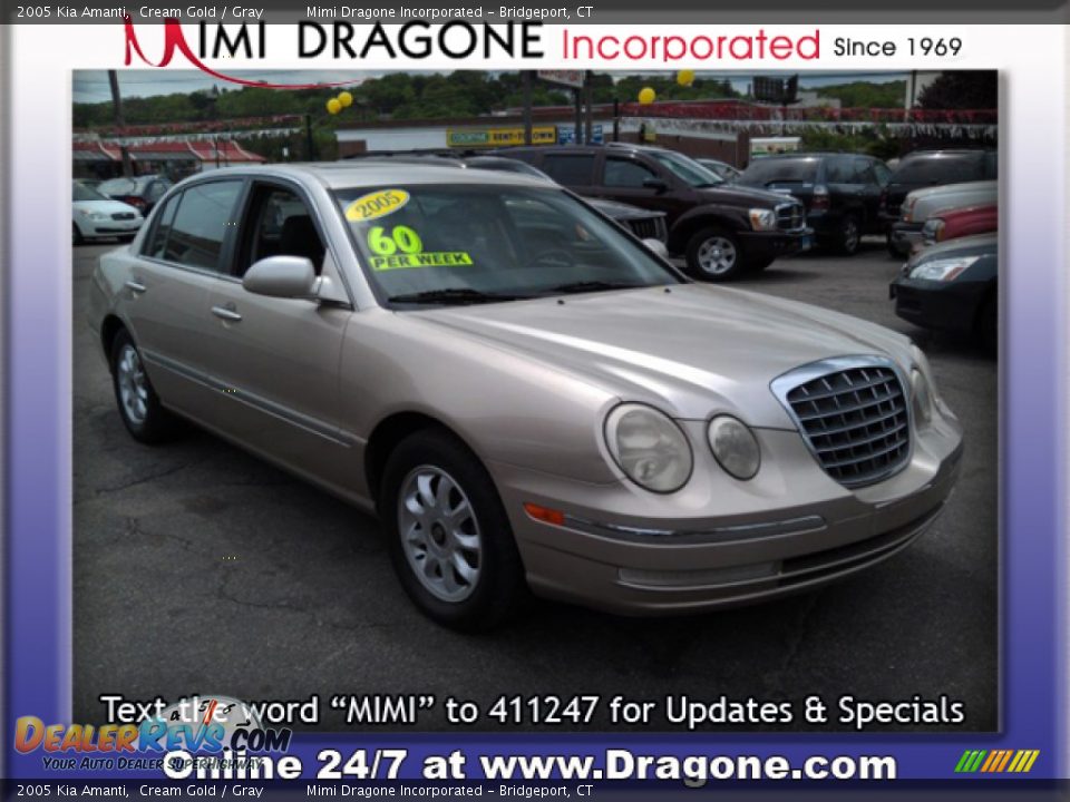 2005 Kia Amanti Cream Gold / Gray Photo #3