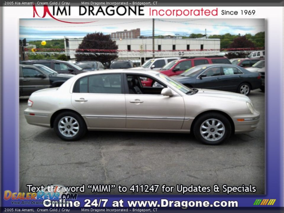 2005 Kia Amanti Cream Gold / Gray Photo #4
