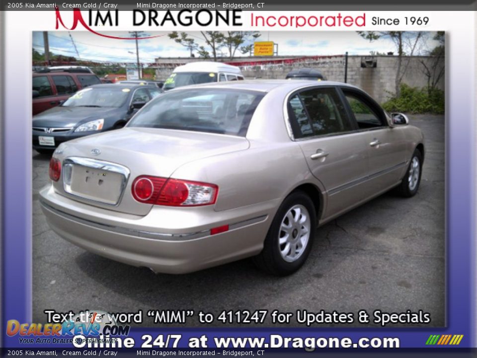 2005 Kia Amanti Cream Gold / Gray Photo #5