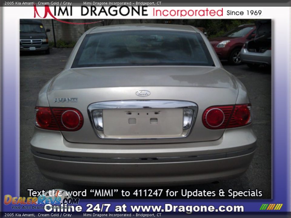 2005 Kia Amanti Cream Gold / Gray Photo #6