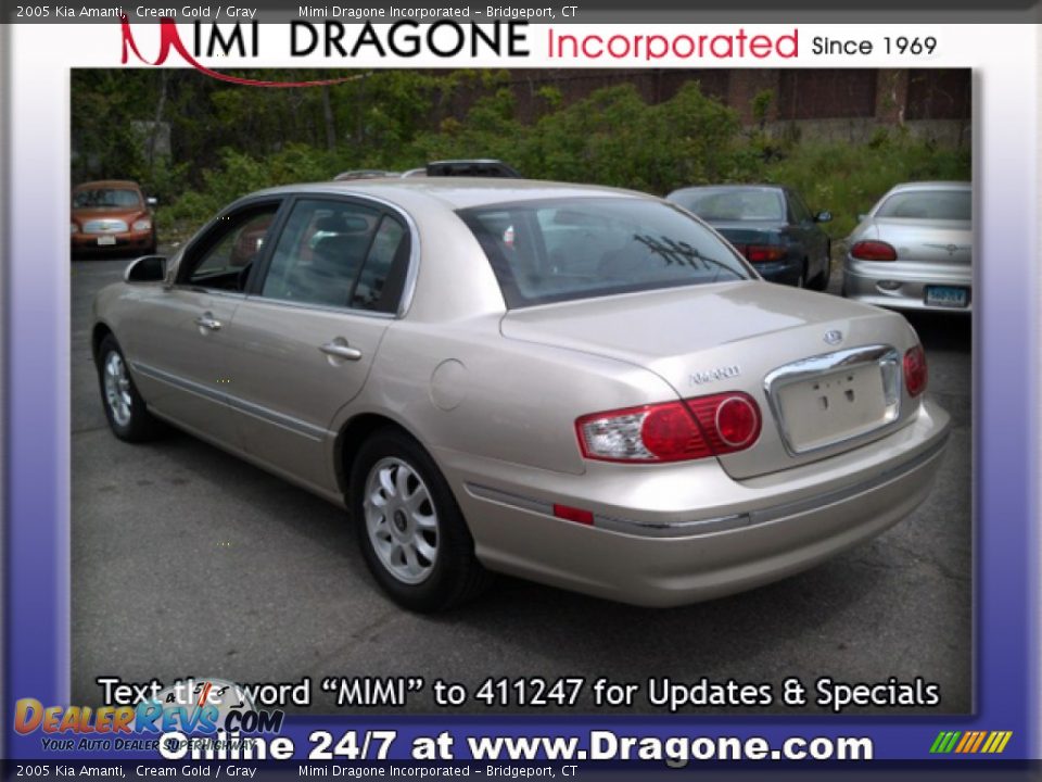 2005 Kia Amanti Cream Gold / Gray Photo #7