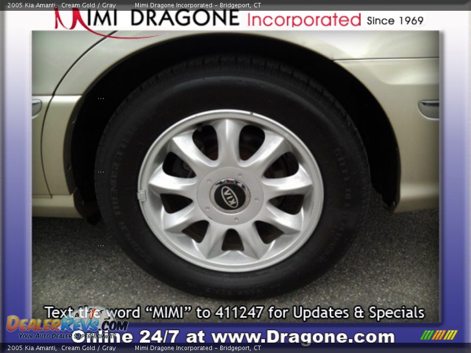 2005 Kia Amanti Cream Gold / Gray Photo #8