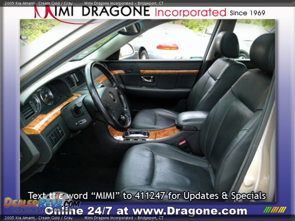2005 Kia Amanti Cream Gold / Gray Photo #9