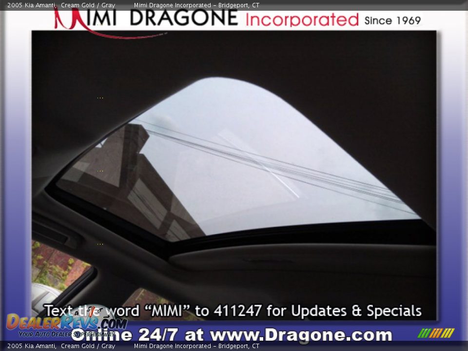 2005 Kia Amanti Cream Gold / Gray Photo #10