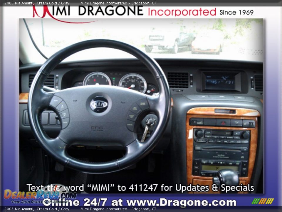 2005 Kia Amanti Cream Gold / Gray Photo #11