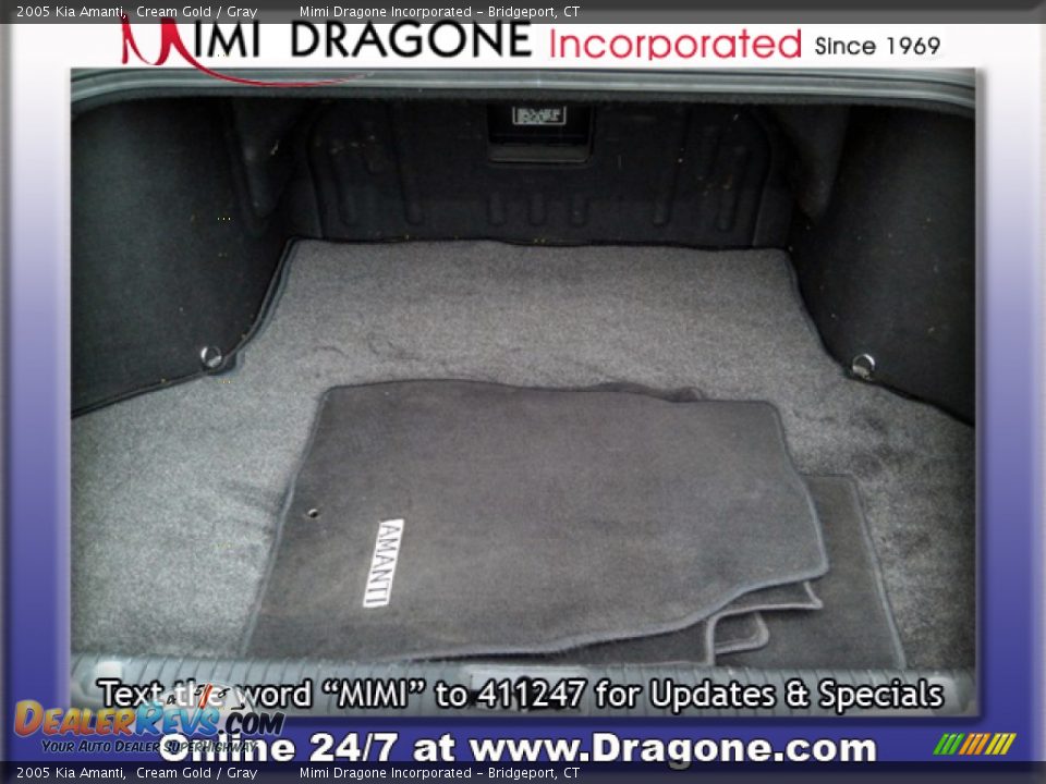 2005 Kia Amanti Cream Gold / Gray Photo #13