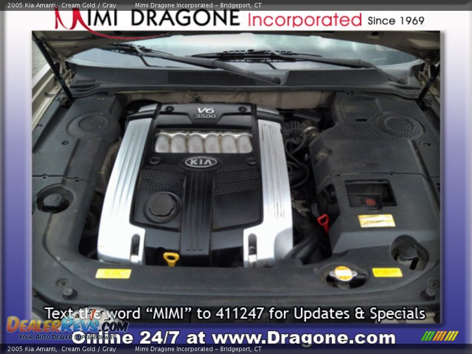 2005 Kia Amanti Cream Gold / Gray Photo #16