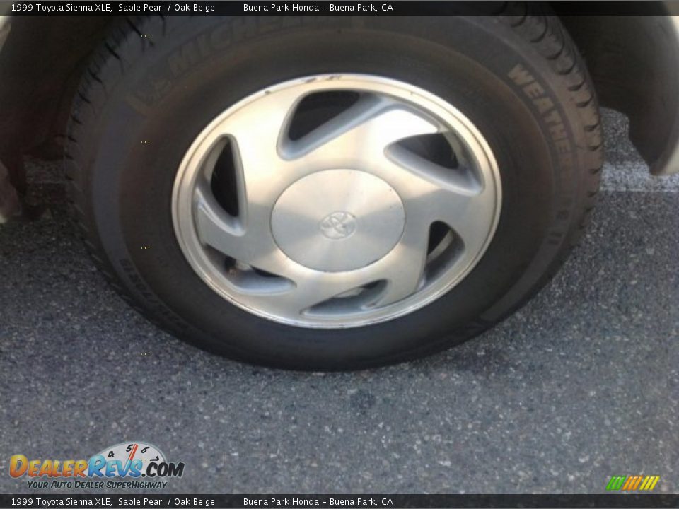 1999 Toyota Sienna XLE Sable Pearl / Oak Beige Photo #5