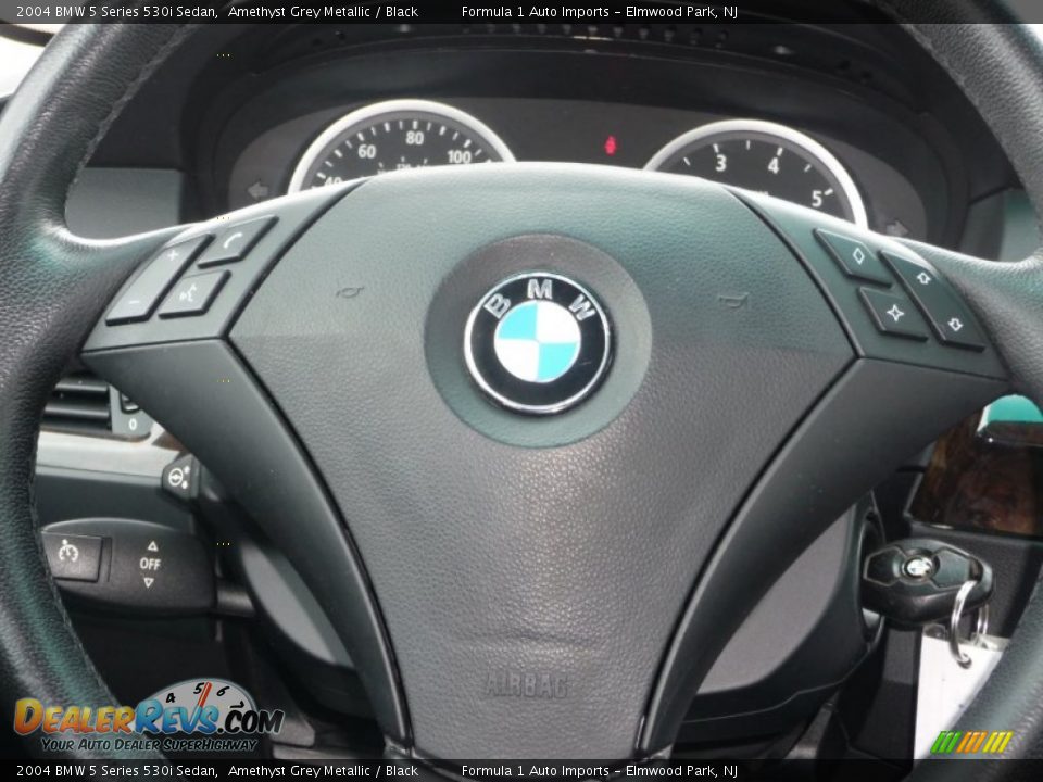 2004 BMW 5 Series 530i Sedan Amethyst Grey Metallic / Black Photo #13