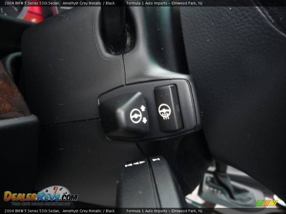 2004 BMW 5 Series 530i Sedan Amethyst Grey Metallic / Black Photo #19