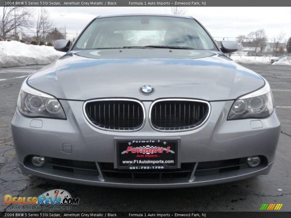 2004 BMW 5 Series 530i Sedan Amethyst Grey Metallic / Black Photo #20