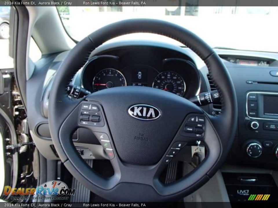 2014 Kia Forte EX Steering Wheel Photo #18